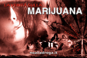 La Verità sulla Marijuana