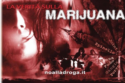 La Verità sulla Marijuana