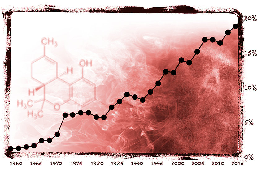 
Più THC è presente, più la droga è psicoattiva e maggiore è il potenziale di uso, dipendenza e altri effetti dannosi.

